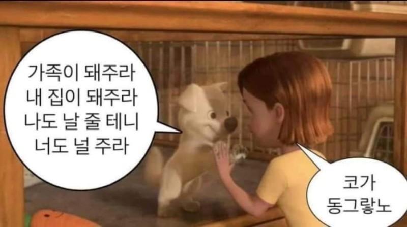 짤이 많네