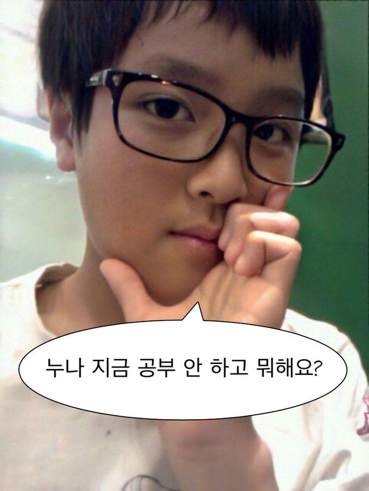 짤이 많네