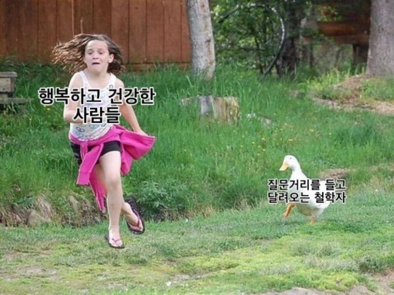 이 오리짤은 볼 때마다 웃김