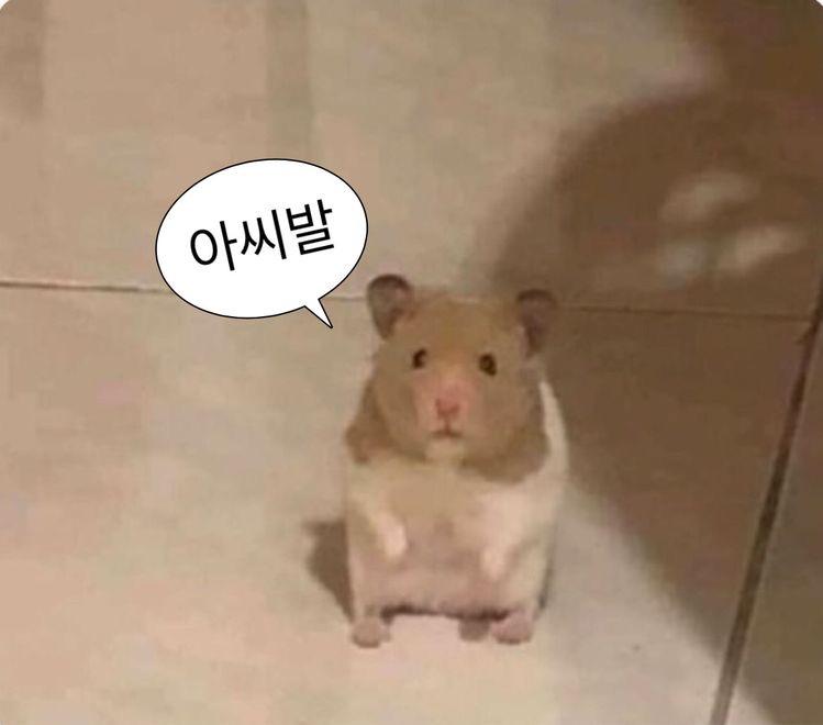 짠