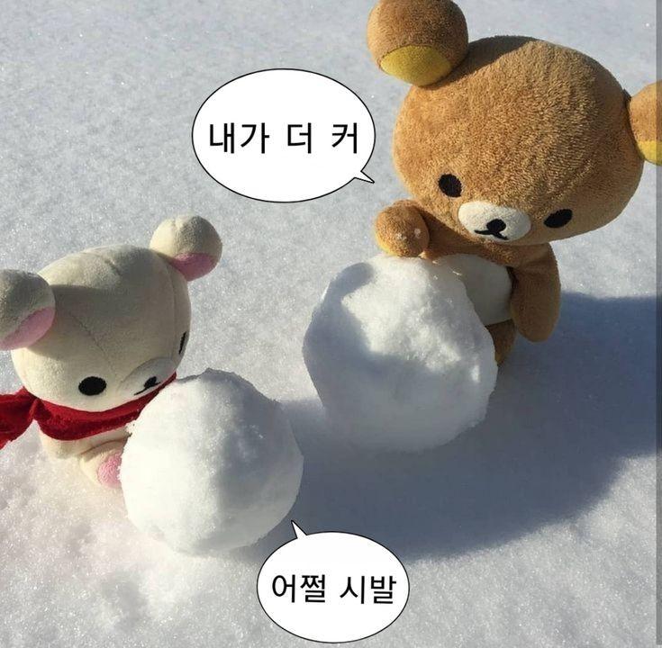 짤이 많네