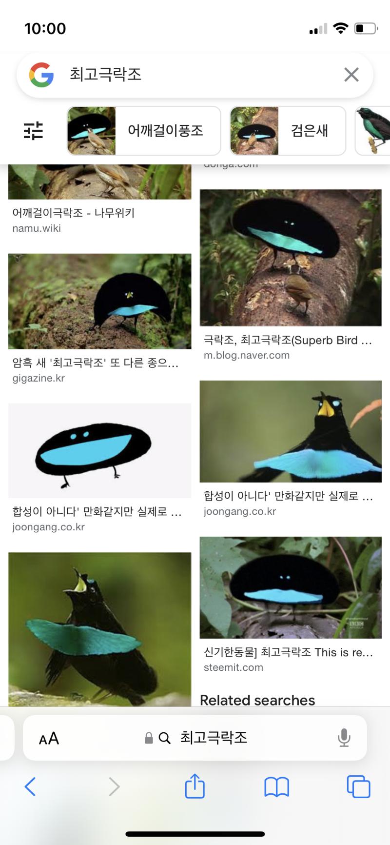 이런 동물이 잇는게 너무 신기해 미칠 지경..
