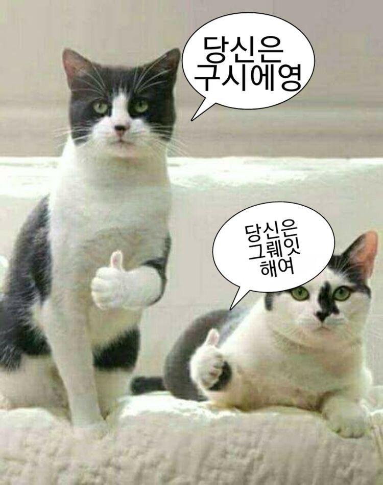 굿이나 보고 떡이나 드셔요