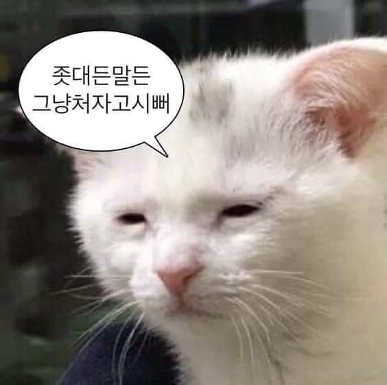 룰루