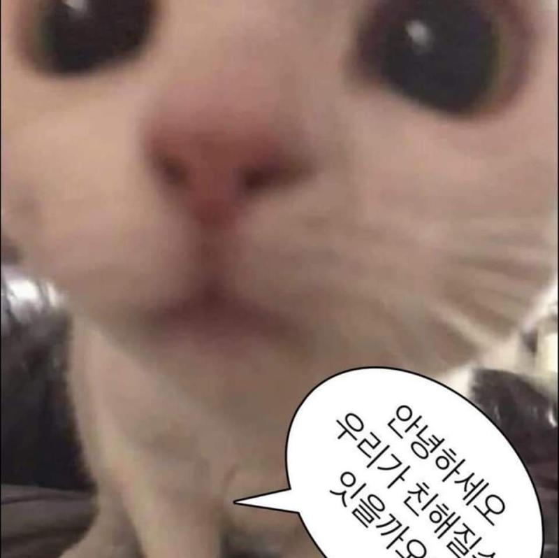 떼껄룩 모음집이며