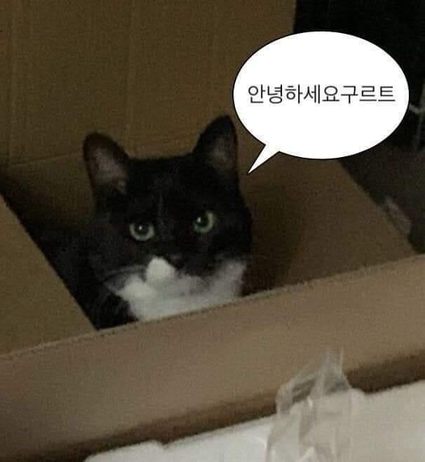 떼껄룩 모음집이며