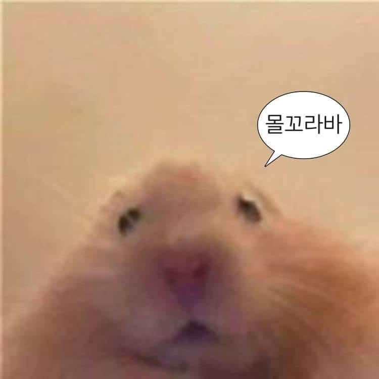 룰루