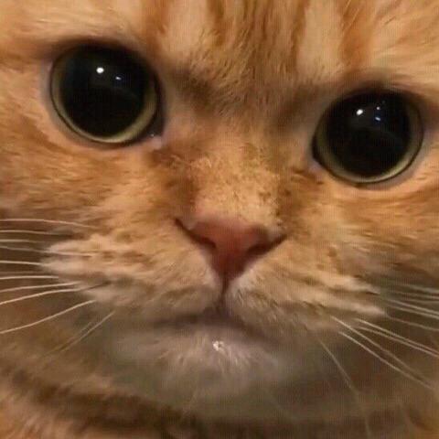 뀨잉