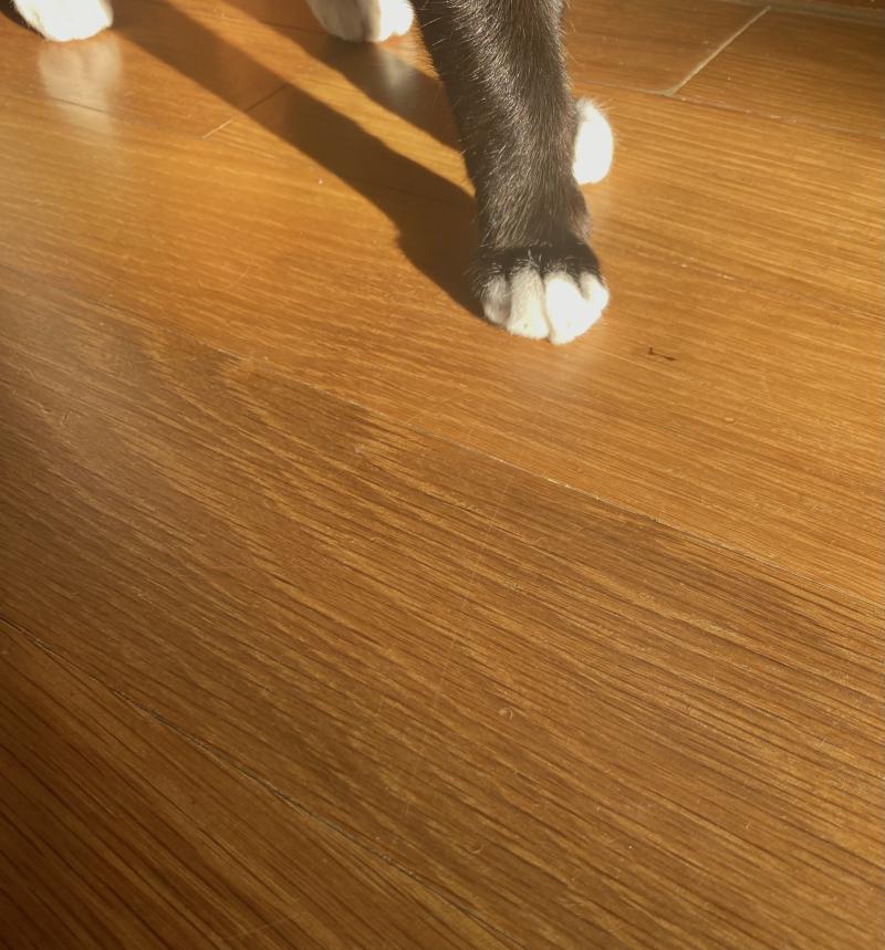 마루에 요 깔고 햇볕 쬐기.