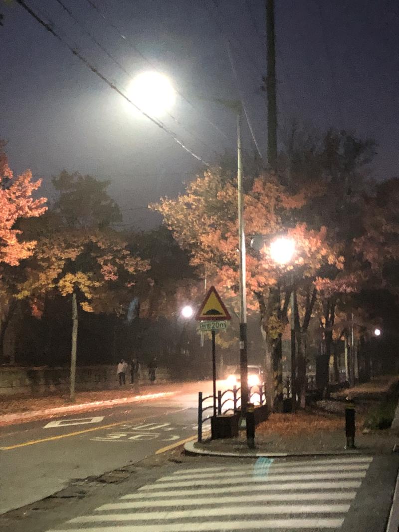 언젠가의 가을 저녁 유난히 뿌연 날이었다.
