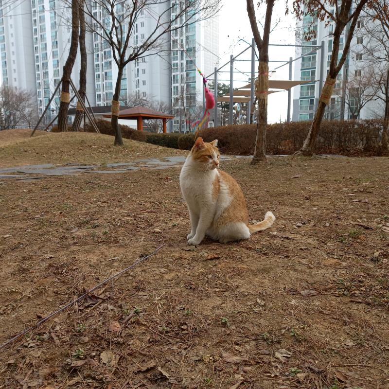 2/28 월 오후 장난감 츄르