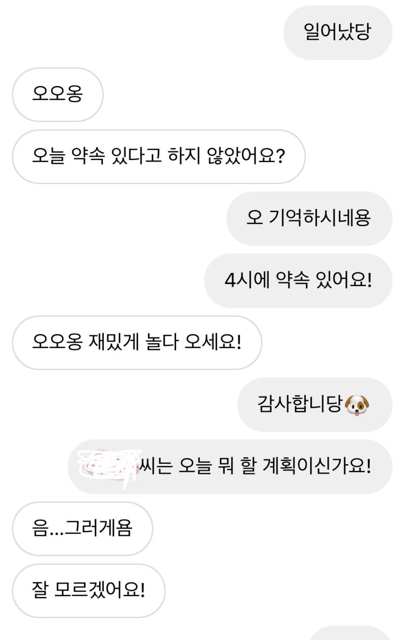 이건 어제 오후 1시정도에 했던 디엠이야 평소에도 좀 내가 더 말 많이 하고 그렇긴 했는데 저날엔 유독 얘가 나 싫어하나 싶을 정도로 할말없게