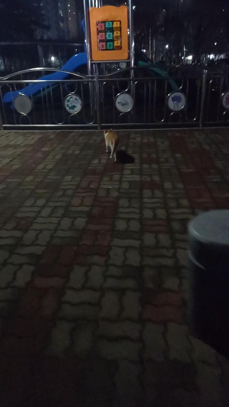 2 같이 편의점 갔다 온 날