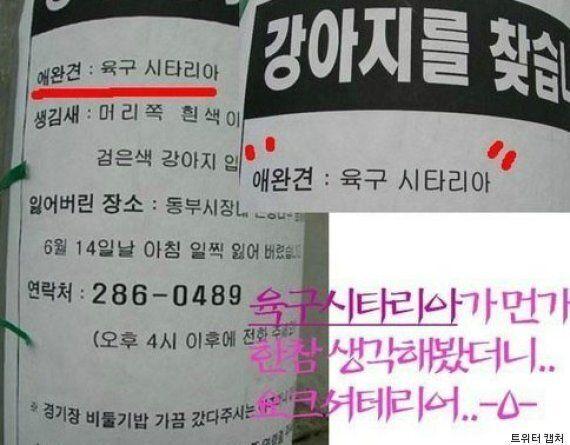 >>9 앜ㅋㅋㅋㅋㅋ