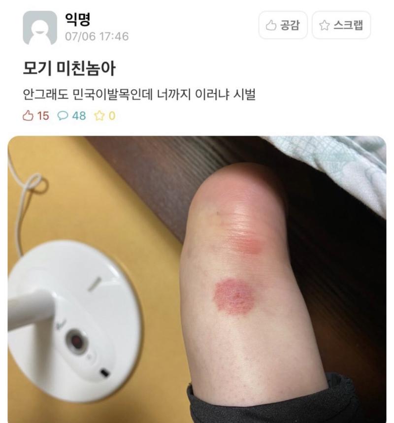 엄지야?