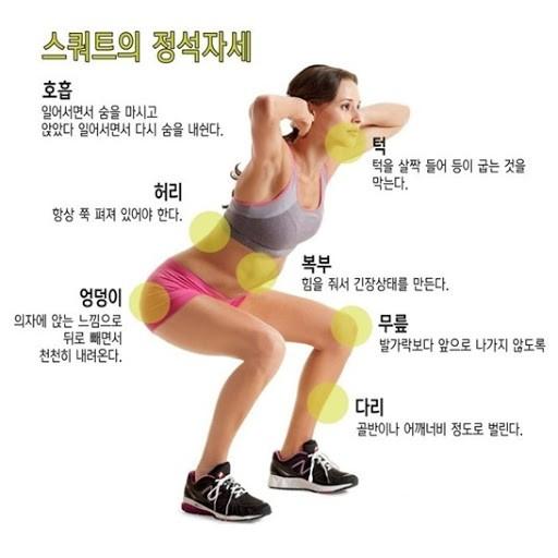 ■ 꿈에서 스쿼트를 하면 어떻게 되는가? 읽은 논문들 중에서 꿈에서 운동을 하면 같은 운동을 하더라도 현실보다 시간이 오래 걸린다는 내용이 있었