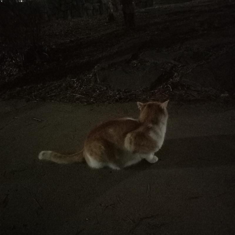 3/16 수 밤
