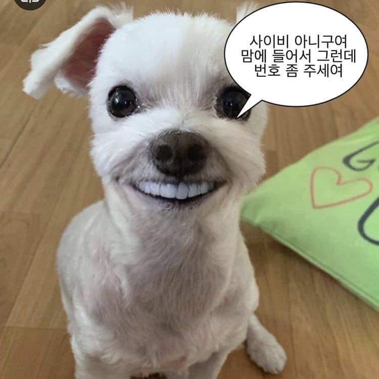 😂