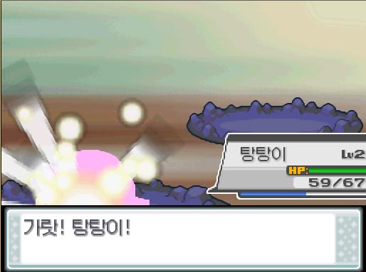 솔의눈 교대! 돌아와! 가랏! 탕탕이! 수행자 묵연은 자신의 마지막 포켓몬인 아보를 내보냈다! 아보의 특성, 위협 발동! 상대의 공격을 1단계
