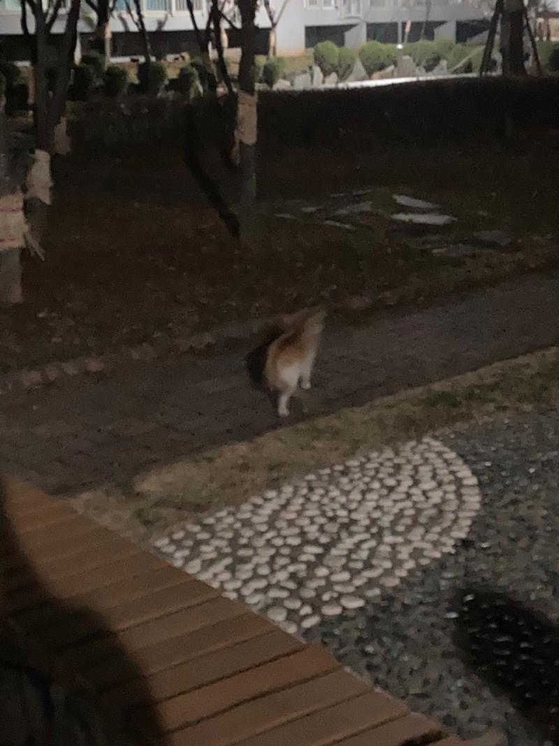 3/16 수 밤