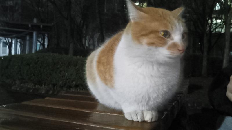 3/20 토 밤