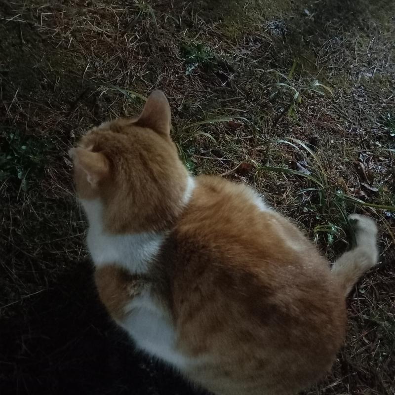 3/20 토 밤