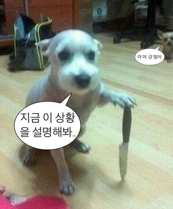 😂