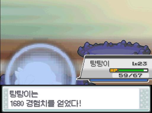 탕탕이의 사이코커터! 효과는 굉장했다! 상대 아보는 쓰러졌다! 탕탕이는 1680 경험치를 얻었다! 탕탕이는 레벨 24로 올랐다! 탕탕이는 새로