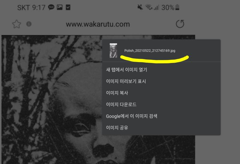 저 와쿠루투인가 뭔가하는 스레주랑 이 스레주랑 동일인인지는 모르겠지만, 원본 괴담글에 스레주가 올린 사진들 전부 파일명에 Polish가 들어가있