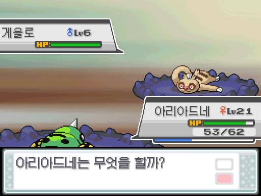 모다피의 탑에서 포켓몬과 만날 수 있는 횟수 최대 3회/현재 1회 모다피의 탑에서 트레이너와 배틀할 수 있는 횟수 최대 2회/현재 2회 (특별한