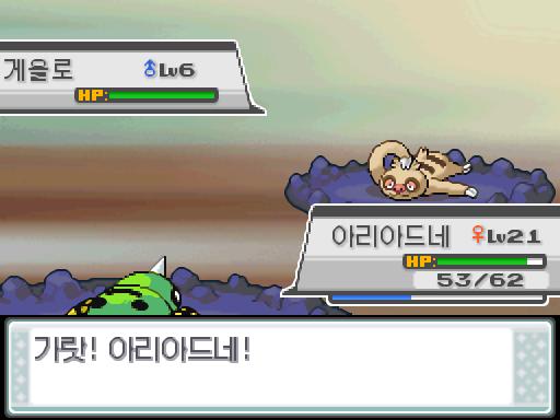 모다피의 탑에서 포켓몬과 만날 수 있는 횟수 최대 3회/현재 1회 모다피의 탑에서 트레이너와 배틀할 수 있는 횟수 최대 2회/현재 2회 (특별한