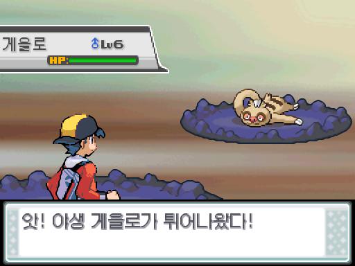 모다피의 탑에서 포켓몬과 만날 수 있는 횟수 최대 3회/현재 1회 모다피의 탑에서 트레이너와 배틀할 수 있는 횟수 최대 2회/현재 2회 (특별한