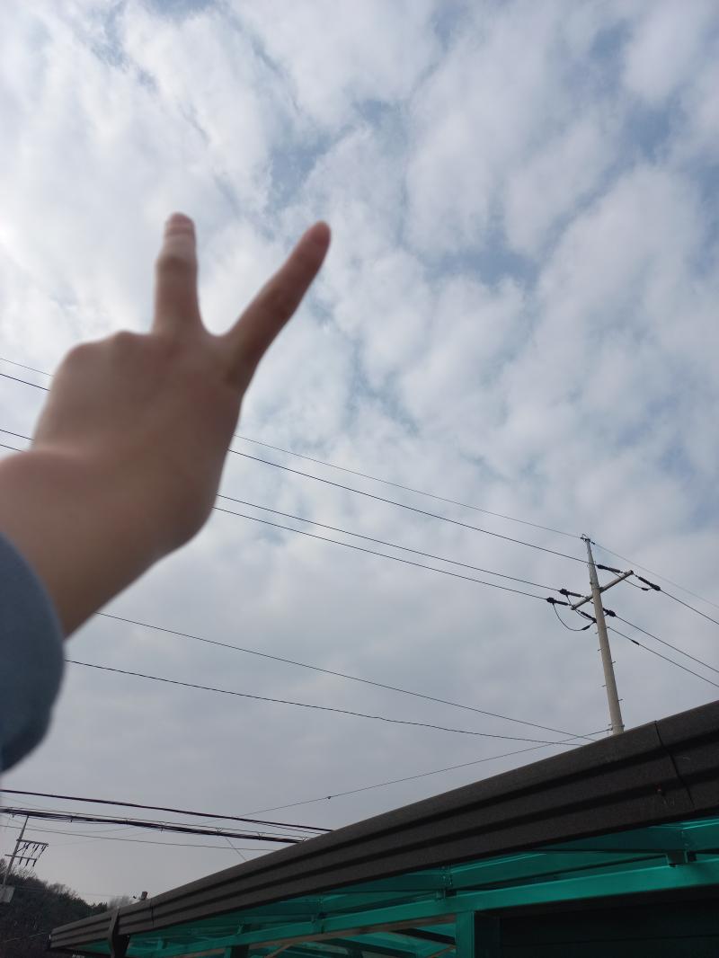 아 그리고 포도체험기 아빠가 포도 재배한다구 집 옆에 저런 거 설치해놔서 올라가서 찍었엉 사실 어제 거기 올라가서 해금 끼익끽 했었어