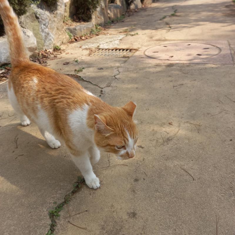 3/22 화 오후