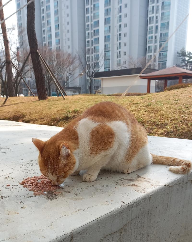 3/22 화 오후