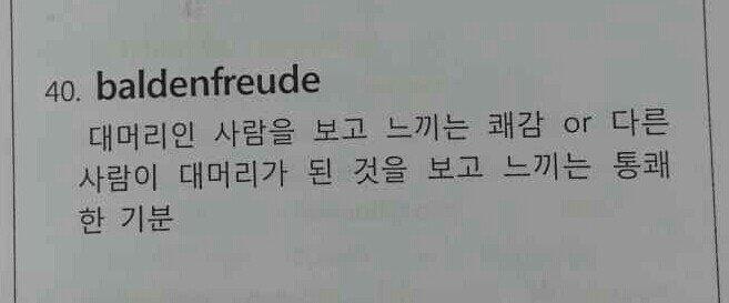 대머리 놀리는데 진심인