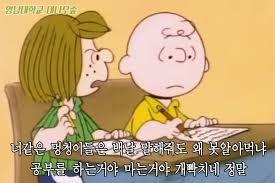 공부고 나발이고 적셔~!