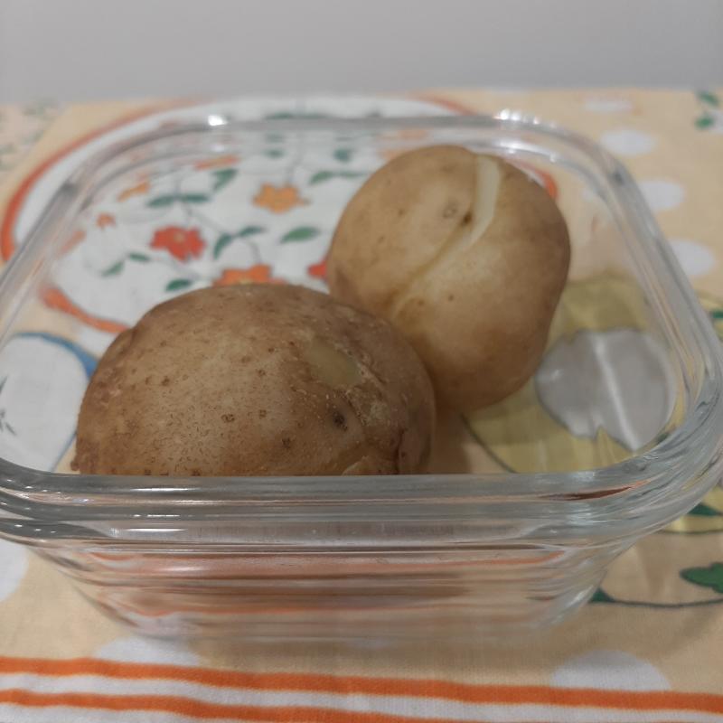 오늘은 삶은 🥔. 오늘 도시락도 영 볼품없다