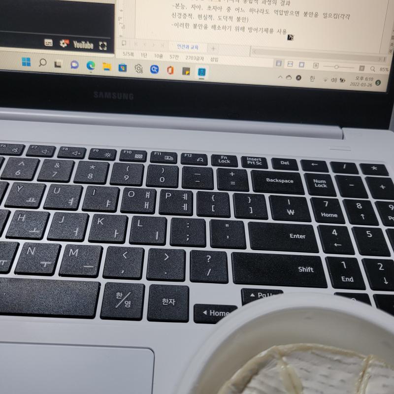 치즈 줏어먹으면서 강의 듣고 필기하기 우 교수님 필기가 넘 많아용