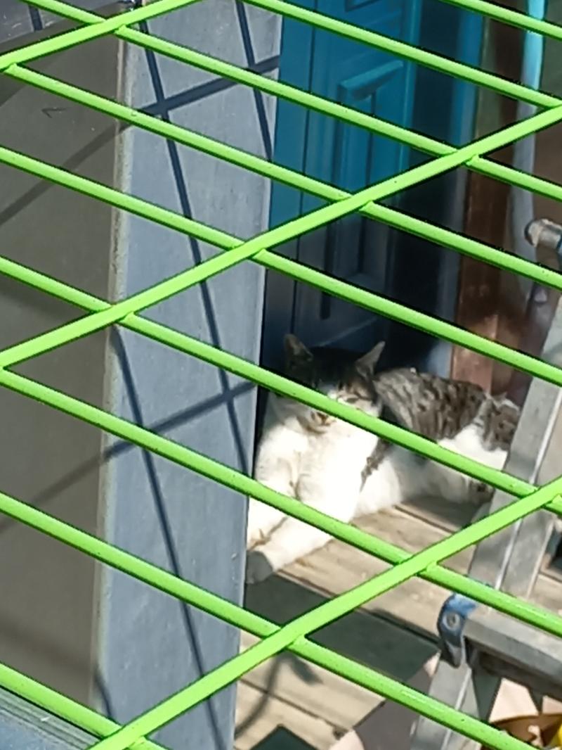 햇빛 아래 있으니까 살균되는 것 같아 오늘 날씨 좋아 바람은 시원한데 햇살은 따뜻해