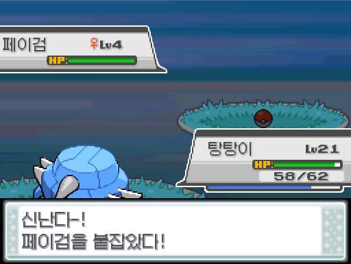 연가람은 31번 도로에서 3번째 포켓몬 페이검을 포획했다! 아리아드네라는 이름을 지어주었다! 드디어 도라지시티에 도착한 연가람은 도라지시티 체육