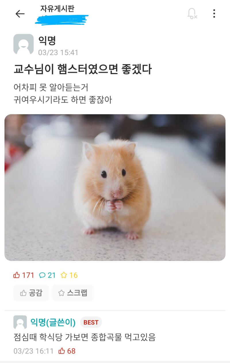 교수님이 햄스터였으면 좋겠다