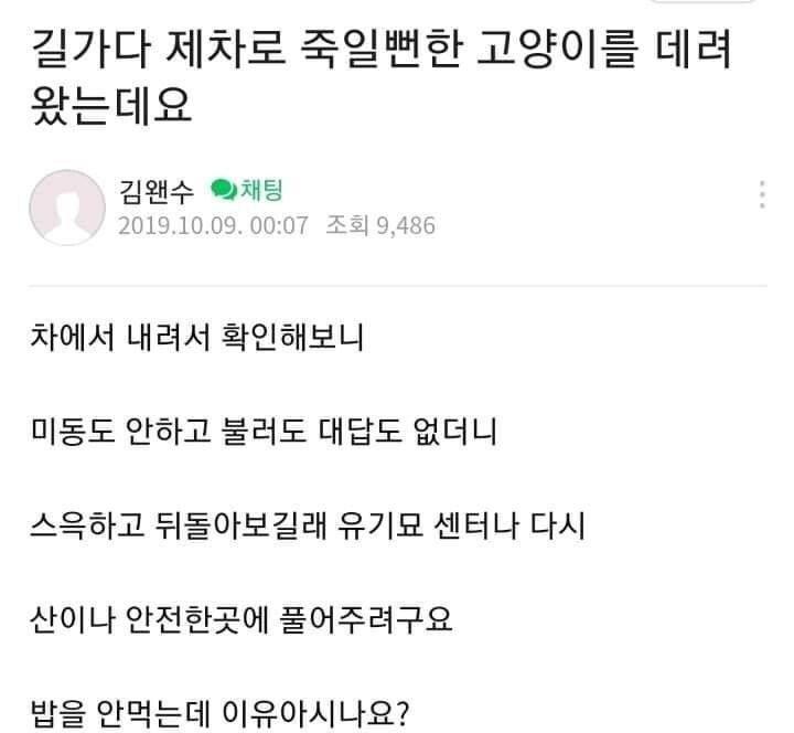 고양이가 밥을 안먹어요.jpg