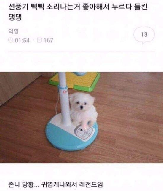 자동완성
