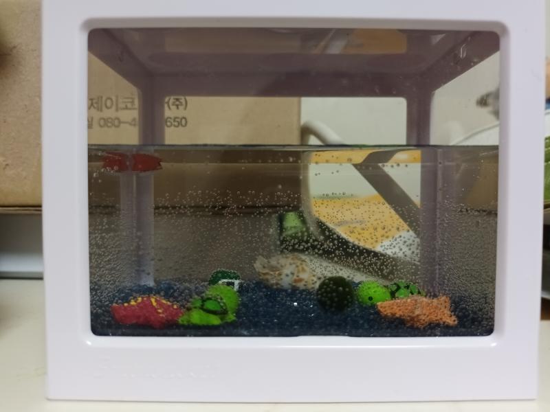 그럼 녹차로 할게! 녹차 사진 올리고 갈게~ 같이 생각해줘서 고마워!!