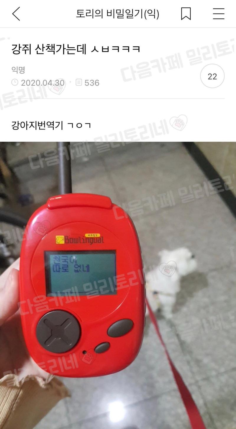 제왕적 글쓰기