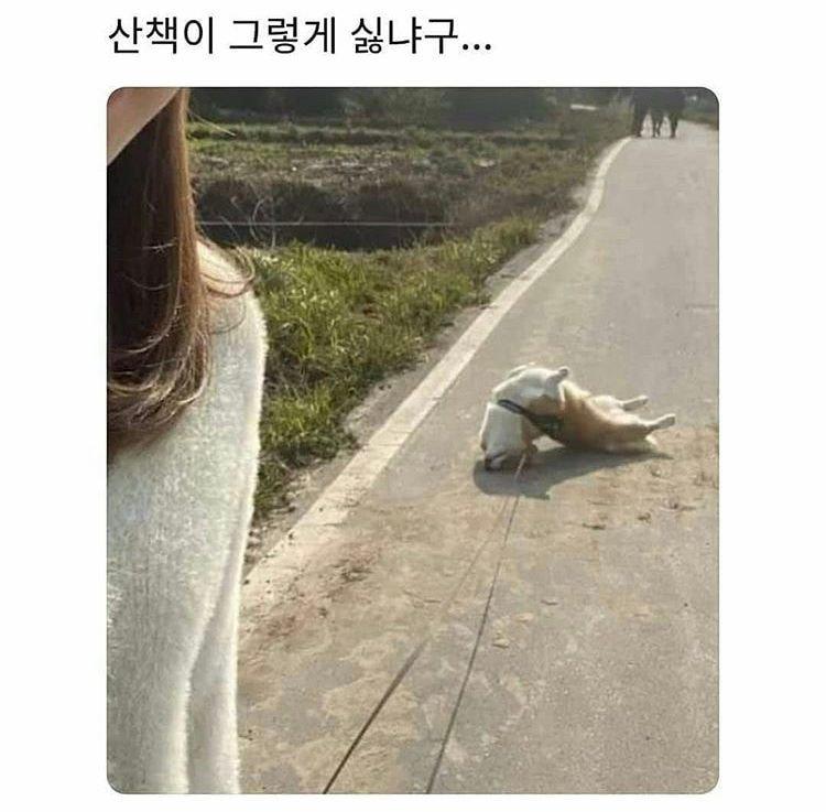 강남스타일 부를 때도?