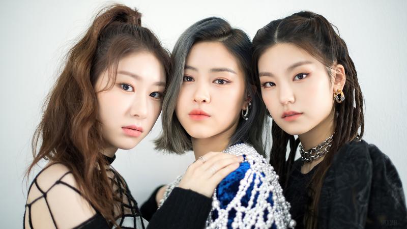 예지 채령 류진 (그냥 있지 전체가 너무 냥냥이들...) (정)재현
