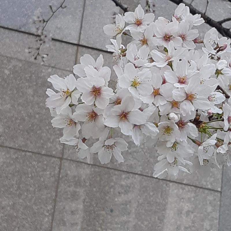 져버린다는 게 아쉽네