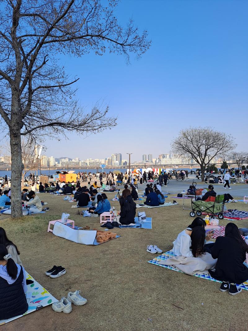 오늘의 여의도 꽃구경 가려고 한 건데 꽃은 없어서 그냥 구경 됨 닭꼬치,,, 비싼데 맛잇엇다 그리고 오늘 돈 개많이 씀 이제 4월 3일인데 ㅋㅋ